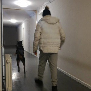 loco_cologne