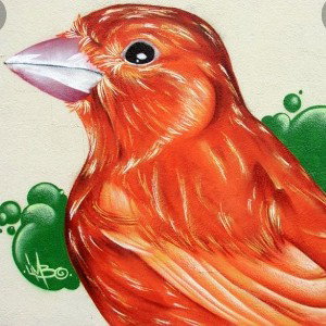 CanariO🐦
