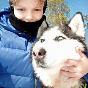 хаски