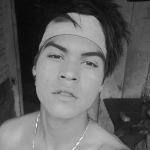 fabi frextile