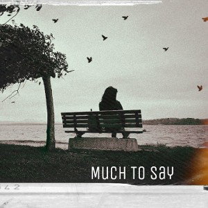 Much To Say