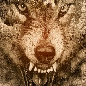 Big Bad Wolf