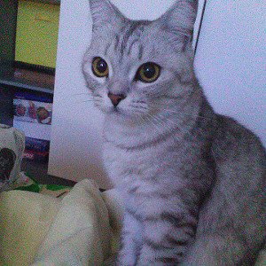 Плохиш feat Romix M
