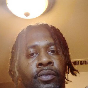  SK SWIFF UNO - birds fly 