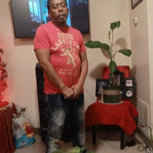 ina zone