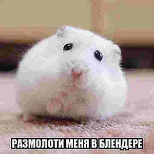 сиии