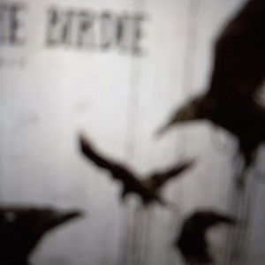 The Birdie