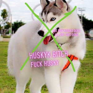 SSGLILJJ-FSG-Till i lay-(husky diss)