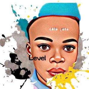 level