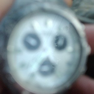 _G_i_v_e_💰_it__U_p_022601_1_