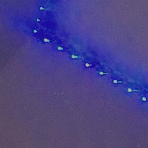 ZOOM (17:52:11)