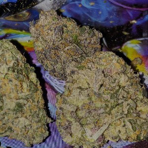 Gas