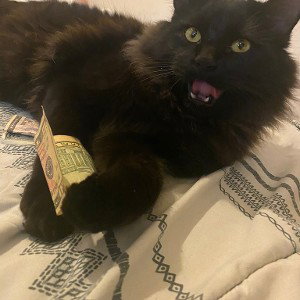 Chill (09:20:13)