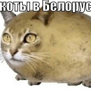 Бизнес мен