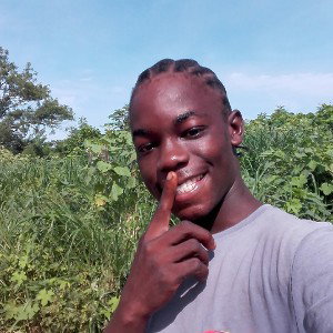 Step Up 