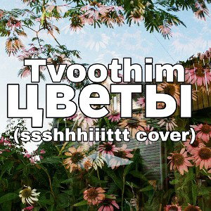 Tvoothim - цветы (ssshhhiiittt cover)