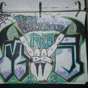 CHLS  MS  13  