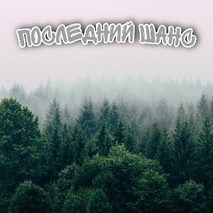 Последний шанс 