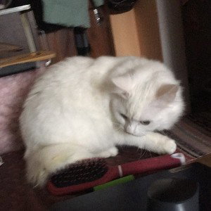 Мой день