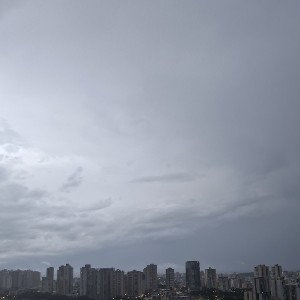 1 de dezembro 