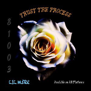 Trust the Process