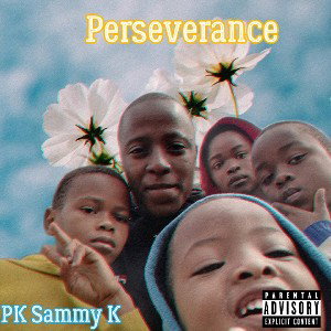 Perseverance