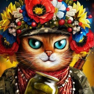 Добрый 🐱