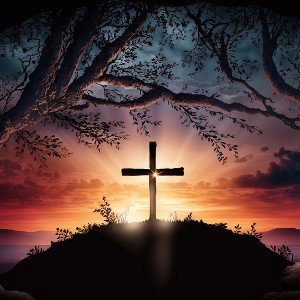 Please enlight lies in you lord
