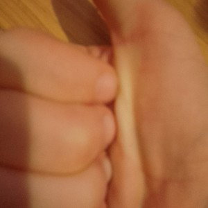 sebik