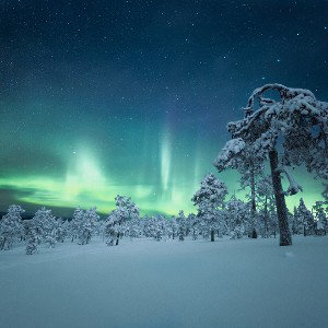 Frozen 
