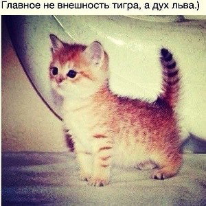 уо