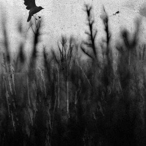 i_will_be_okay