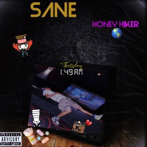 ✨SANE✨