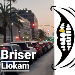 Briser
