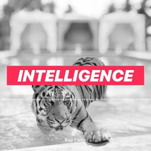intelligence 