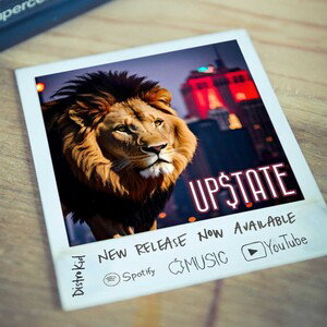 promo follow upstate skandelouz on Spotify