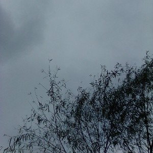 el cielo clama ati