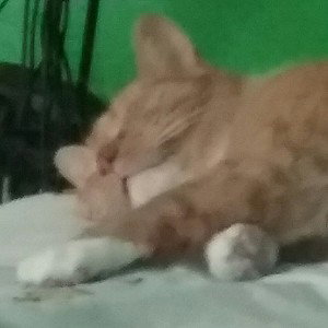 sleeping