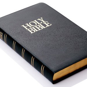 BIBLEGottaDoBlockftLDog