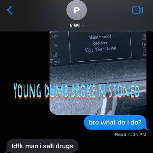 young dumb broke n stoned