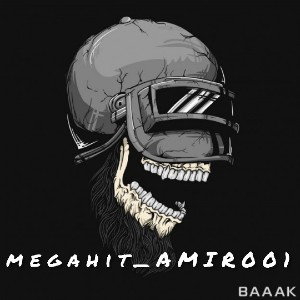 Megahit (amir001)