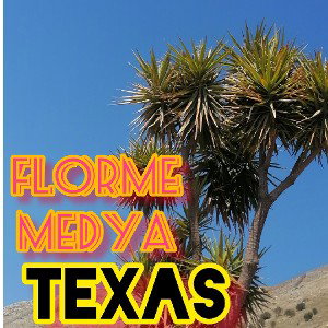 TEXAS ®™§¶