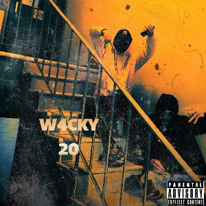 peaks- wacky tobaccy (ft. t.trylaxe)