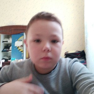 домики трек