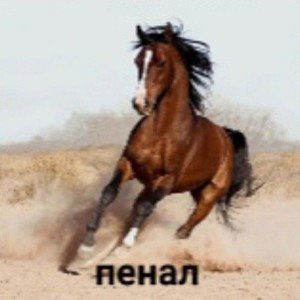 я не терпила а ты керосин