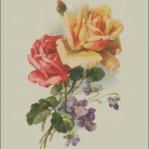 violets and roses