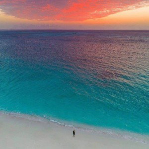 relax your mind and let go
