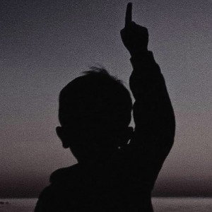 freestyle TF Tipo NGA