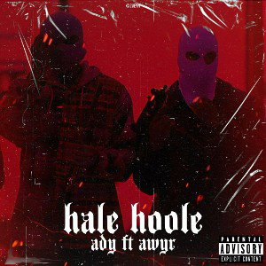 Hale hoole