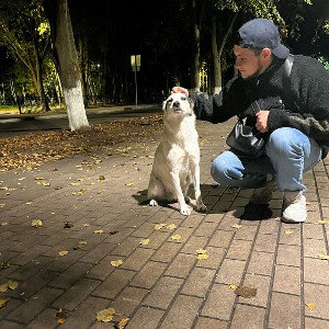 Смирно